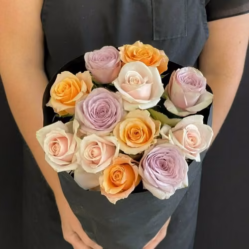 12 Pastel Mix Roses