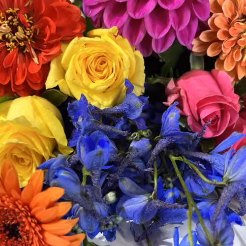 Florist Choice - Bright