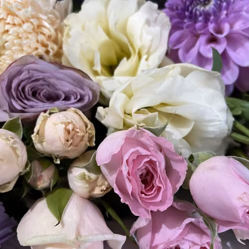 Florist Choice - Pastel