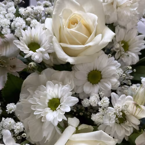 Florist Choice - Classic White & Green