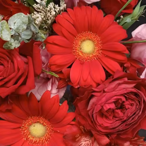 Florist Choice Lovers Choice