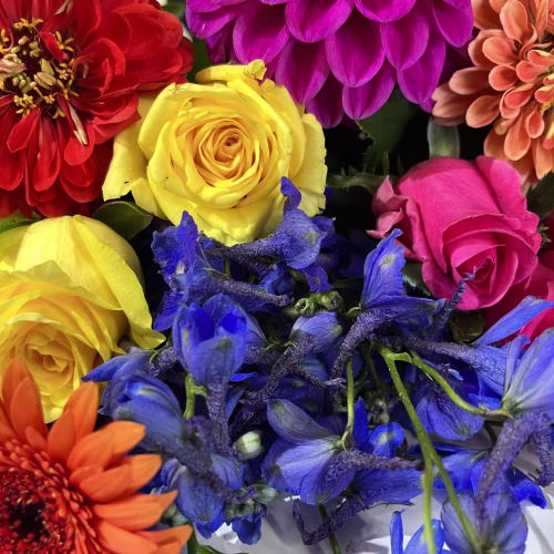 florist-choice-bright